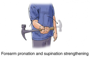 Supination and Pronation in forearm